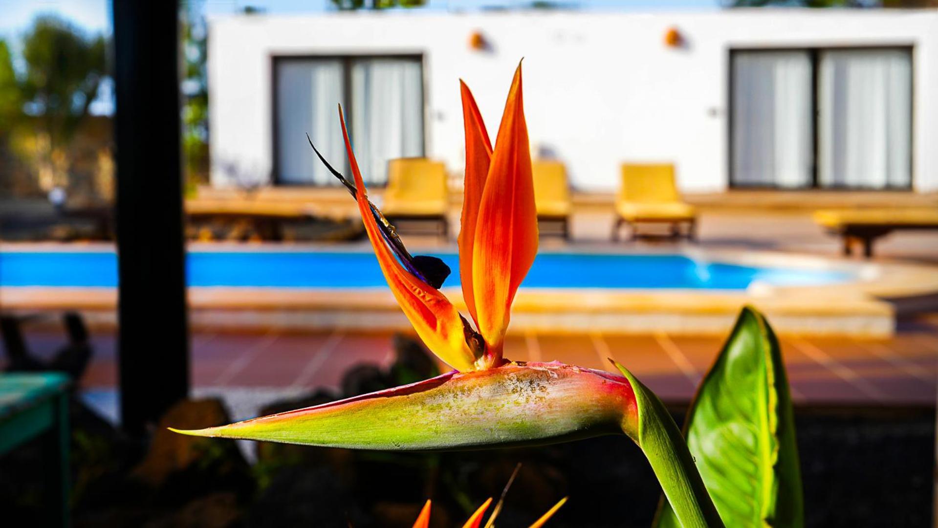 Villa Azul Fuerteventura Villaverde  Экстерьер фото